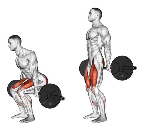 Barbell Hack Squat: 4 Major Benefits and Muscles Worked - Inspire US