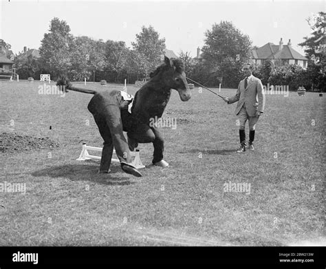 Funny police horse Black and White Stock Photos & Images - Alamy