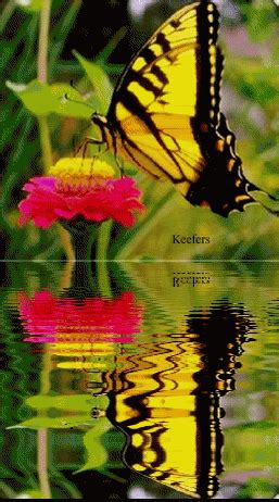 butterfly garden maple grove - Kandace Mclaurin