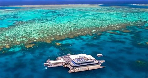 Cairns Outer Reef Tours | Everything Cairns