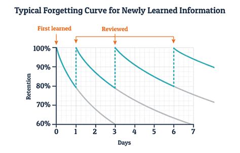 The Forgetting Curve: The Reason to Review Your Notes