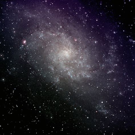 Triangulum Galaxy Photograph by A. V. Ley - Fine Art America