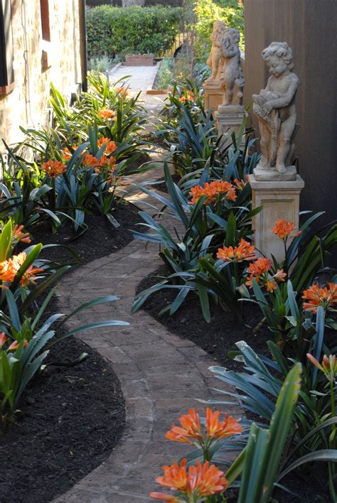 UNLEY Park - South Australia - Adelaide | Side yard landscaping, Narrow garden, Side garden