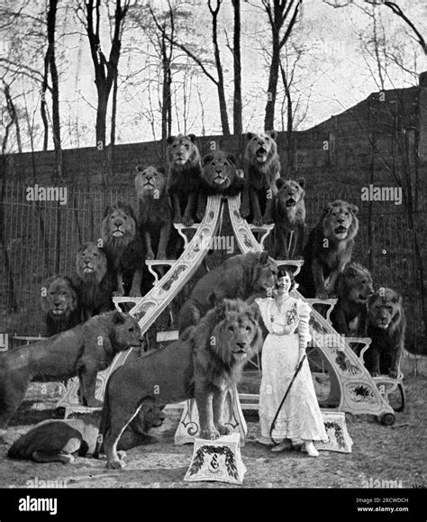 circus, dressage, tamer Ida Krone alias Miss Charles with lions, Circus ...