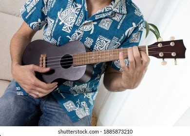 7,575 Ukulele hawaiian Images, Stock Photos & Vectors | Shutterstock