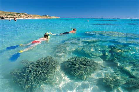 33 of WA's Best Snorkelling Spots | Perth Snorkelling Spots