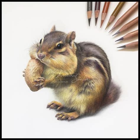 Christina Simon - Art&Graphics on Instagram: “🐿Theodore, the Chipmunk is done and I abso ...