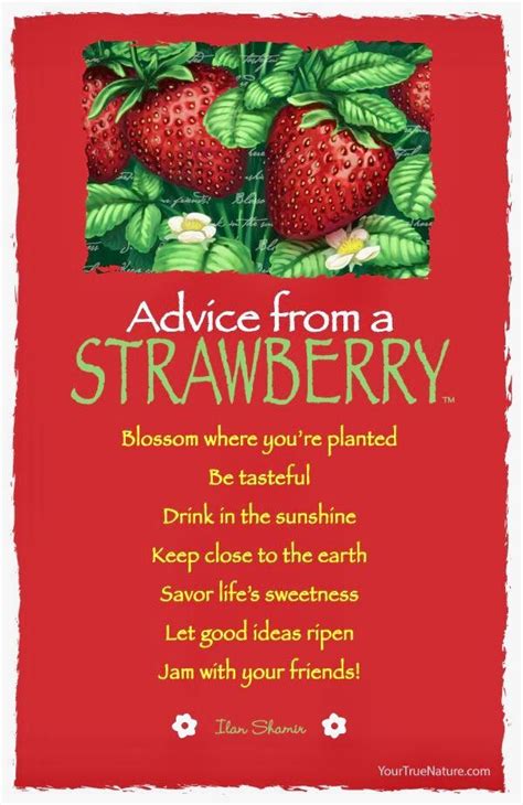 Advice from a STRAWBERRY | Strawberry quotes, Advice quotes, Strawberry