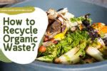 Organic Waste Recycling: How To Recycle Organic Waste?