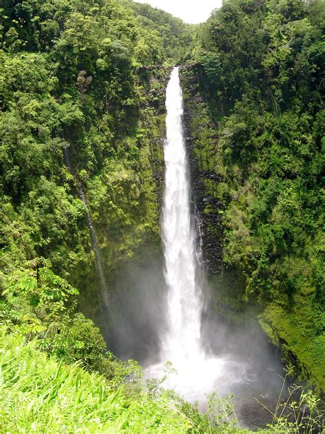 Akaka Falls | A must-see. It's a short hike on a paved trail… | Flickr