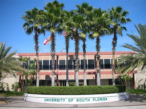 Tampa Tops List Of Best College Cities In U.S.A. | Temple Terrace, FL Patch