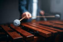 Xylophone Players Free Stock Photo - Public Domain Pictures