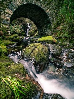 Tollymore Forest Park - United Kingdom - Landscape photogr… | Flickr