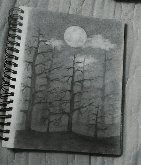 Pencil drawing. Dark forest. | Forest drawing, Nature art drawings ...