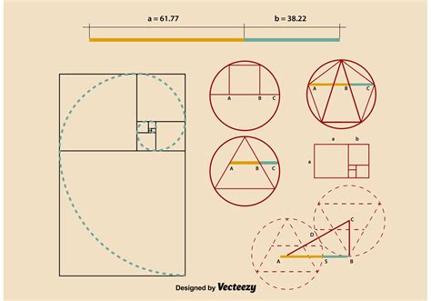 Golden Ratio Proportions 91542 Vector Art at Vecteezy