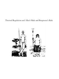 Thermal Regulation and Allen’s Rule and Bergmann’s Rule | Bergmann S Rule | PDF4PRO