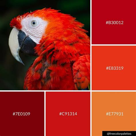 Red Parrot | Color Palette Inspiration Great for digital art and brand colors. Red Colour ...