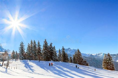 Landscape in Switzerland stock photo. Image of landscape - 100860438