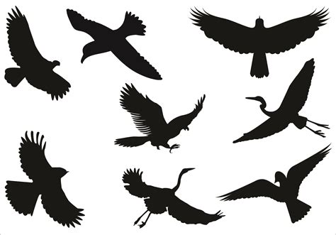 Birds Flying Cliparts: A Creative Way to Add Movement to Your Designs