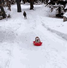 Slide Snow GIF - Slide Snow Winter - Discover & Share GIFs