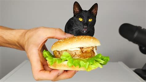 CAT EATING BURGER ASMR - YouTube