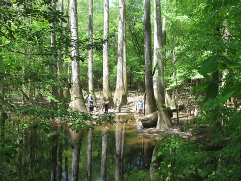 Happy 100th Birthday, National Park Service! | Highly Allochthonous