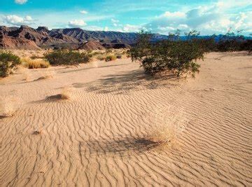 Climate of the Mojave | Sciencing