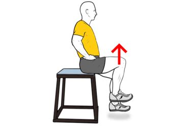 HIP FLEXION IN HIGH SITTING - Exercises, workouts and routines