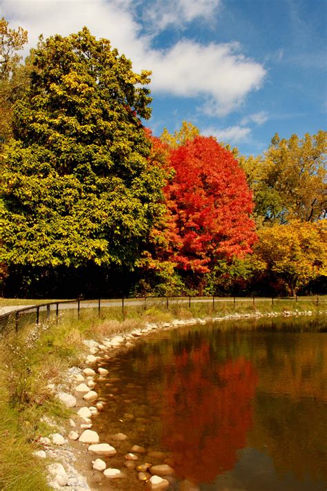 Michigan fall Glory, Michigan, Scenery, Country Roads, Peace ...