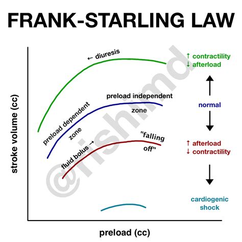 Rishi Kumar, MD - The Frank-Starling law of the heart is...