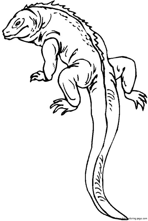 Printable animal Lizard With Long Tail coloring page