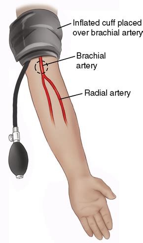 Medical Techniques and Patient Care | Radiology Key