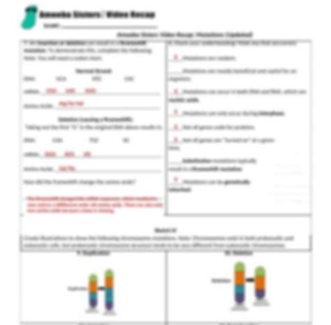 Amoeba Sisters Alleles And Genes Answer Key Pdf / video_recap_of ...