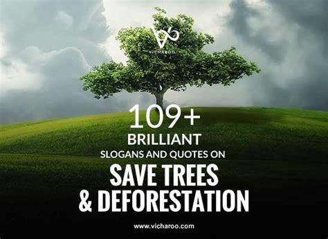 109+ Amazing Save Trees Slogans & Quotes | Arbor Day – Vicharoo