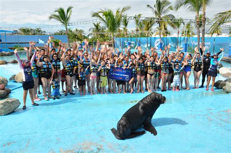 dolphin-discovery-vallarta-2 | Swim with Dolphins with Dolphin Discovery