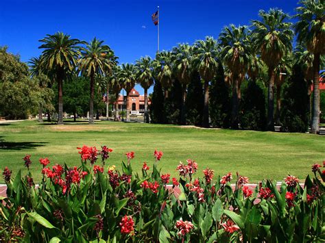 Phoenix University: E Campus University Of Phoenix