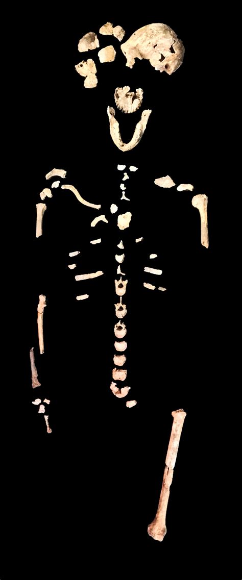 Homo Naledi Likely Coexisted With Humans | TIME