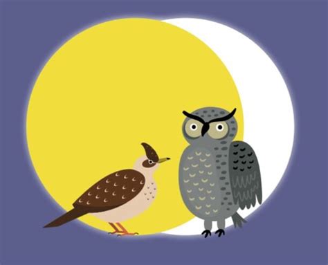 Are you a night owl or a lark? | The Simple Things