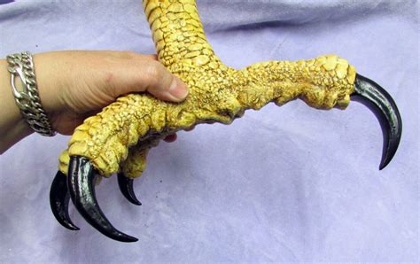 Huge Haast Eagle Replica Foot Talon Claw Raptor Dinosaur Fossil Bird ...