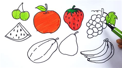 Drawing Pictures Of Fruits And Vegetables at PaintingValley.com | Explore collection of Drawing ...