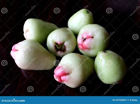 Jamrul with Black Background,Wax Apples,Fresh Fruits Stock Image - Image of delicious, vitamin ...