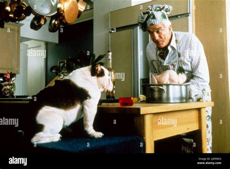 Mr magoo leslie nielsen with dog 1997 hi-res stock photography and images - Alamy