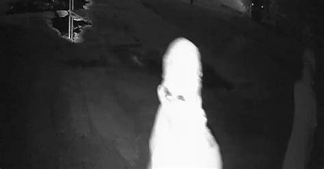 Rusk police searching for suspect in business break-ins | Local News | jacksonvilleprogress.com