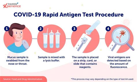 Rapid Antigen Test vs Rapid Antibody Test: What’s the difference? How ...