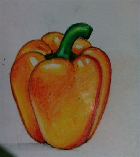Capsicum drawing using pastel color on paper. | 素描, 色鉛筆, 画