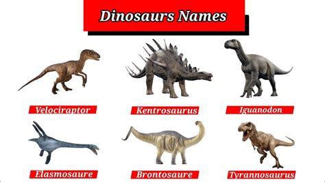 Dinosaur Pictures And Names