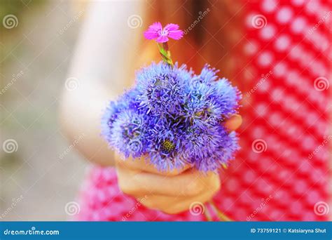 Kids Hands Holding Flowers in Green Meadow Stock Image - Image of ...