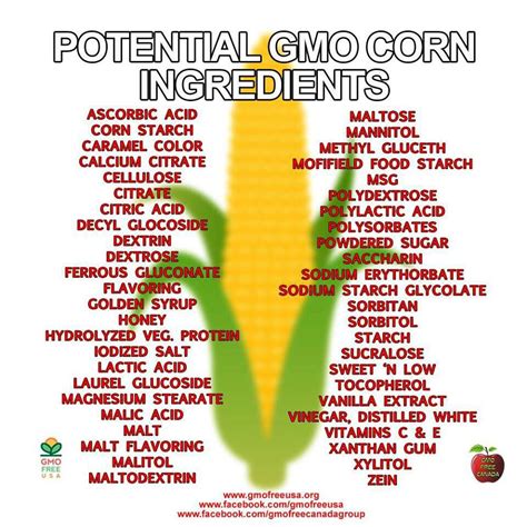 Potential GMO corn ingredients