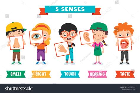 Five Senses Kids Stock Photos - 736 Images | Shutterstock