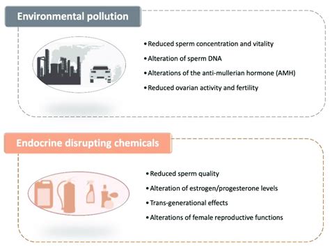 Effects of environmental pollution and endocrine disrupting chemicals ...